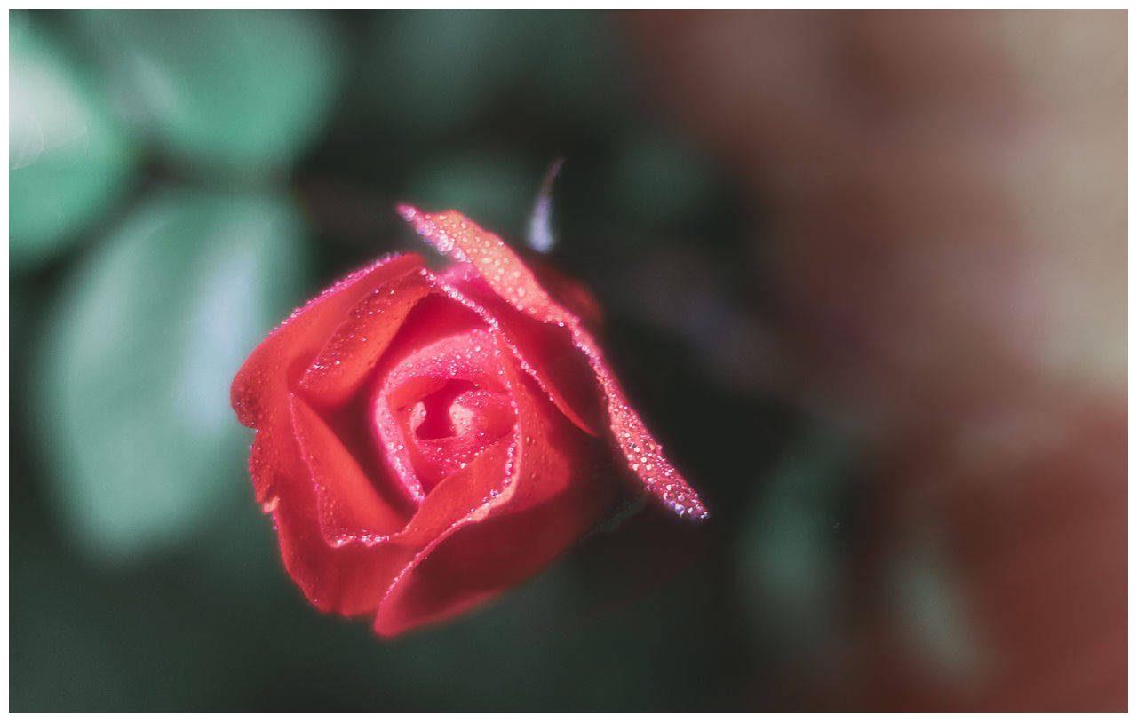 6月9日 7月10日牛 马 虎转衰为旺 财达利丰 赚得盆满钵满 财达 利丰 横财 新浪新闻 6月9日 7月10日牛 马 虎转衰为旺 财达利丰 赚得盆满钵满 财达 利丰 横财 新浪新闻