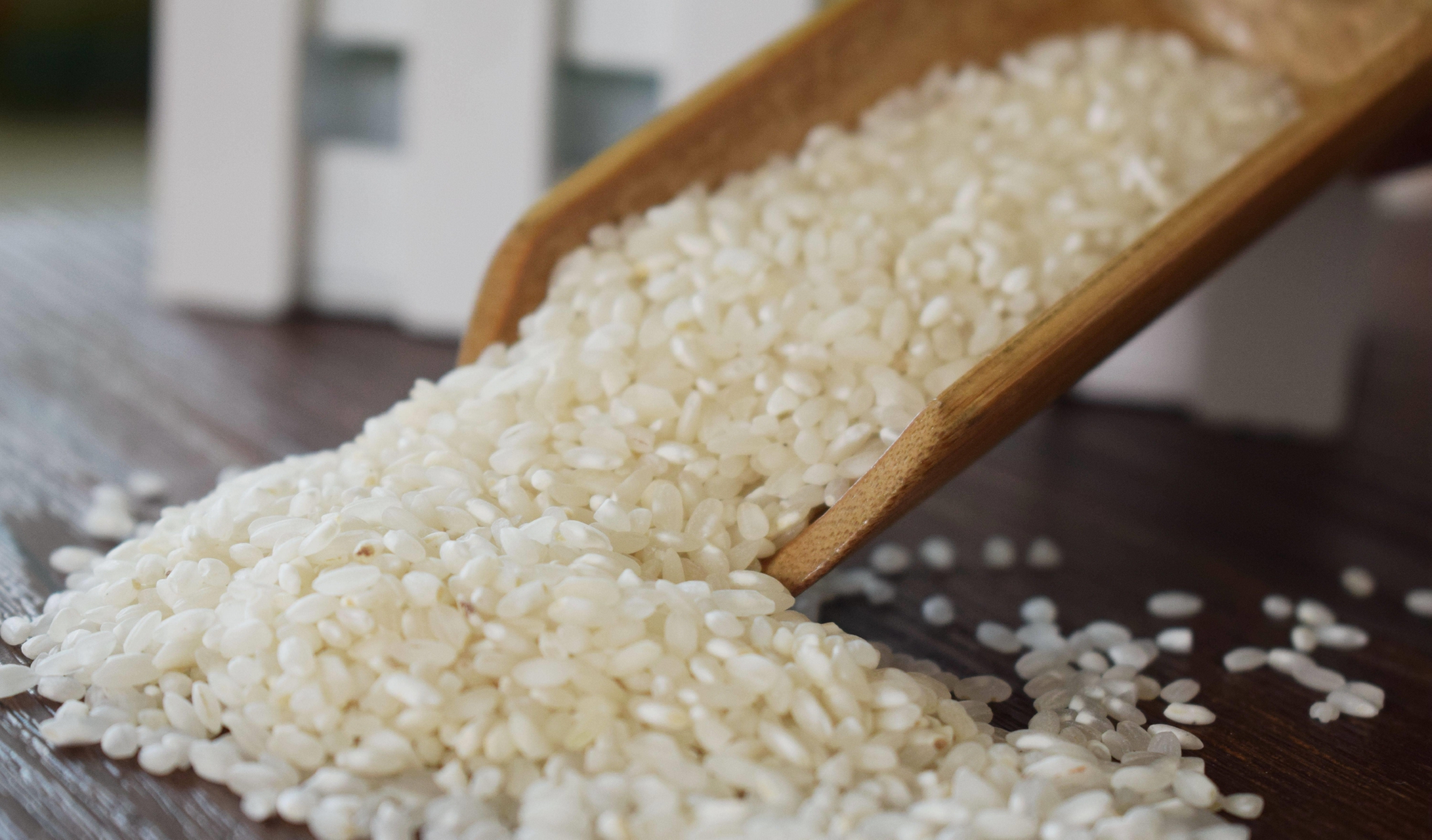 绿宝贡米小科普：早晚米的区别_米质