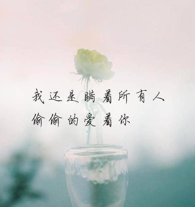 有一种爱情叫你若安好我不打扰深度好文