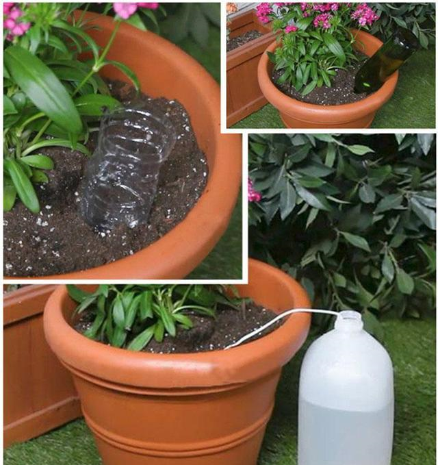 看他直接埋根棉线,想干都难!