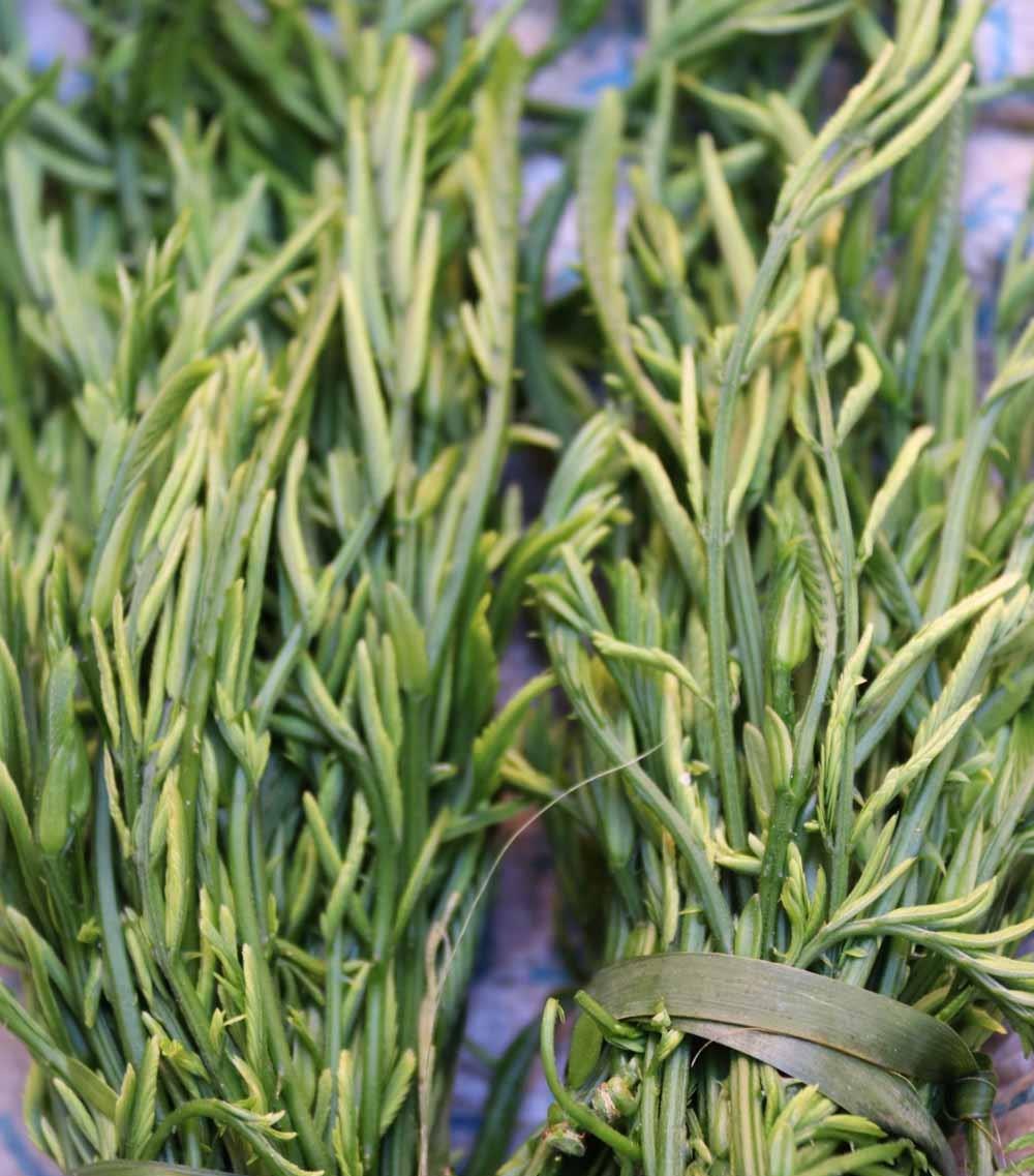 味道玉溪春天去尝尝云南元江的这些野菜吧