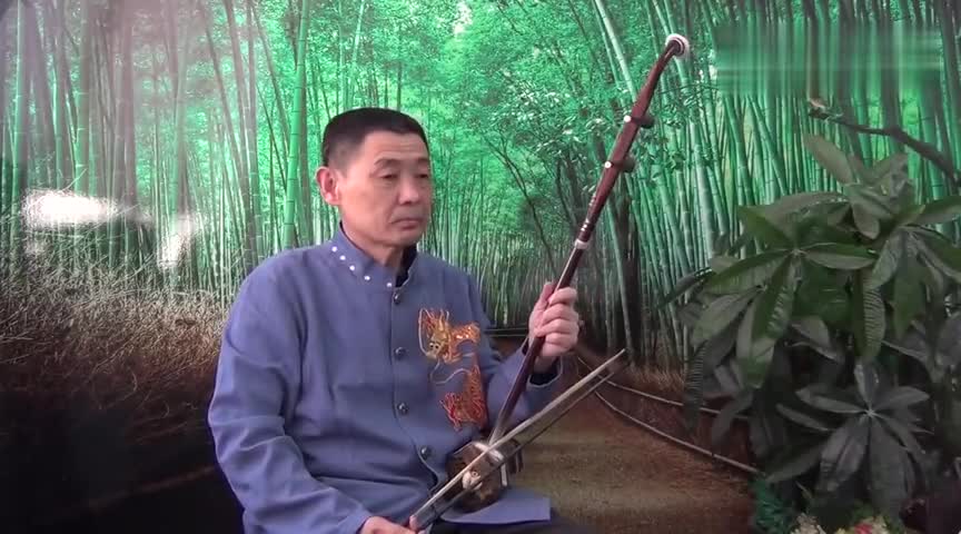 二胡名曲欣赏《一帘幽梦》