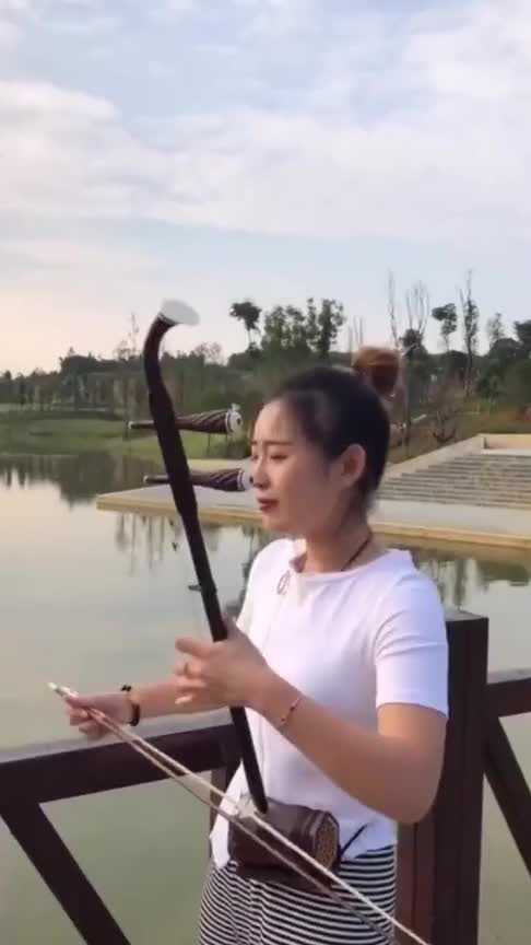 二胡演奏上海滩韵味十足太经典了