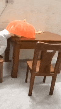 我问爸爸照片中站在他旁边的那位年轻叔叔是谁？他说那是你妈！休闲区蓝鸢梦想 - Www.slyday.coM