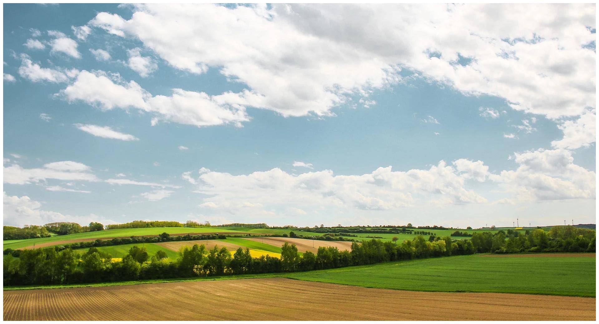 7月,恋爱挑剔,情感坎坷,3星座遇人不淑,但真爱迟早会降临休闲区蓝鸢梦想 - Www.slyday.coM 7月,恋爱挑剔,情感坎坷,3星座遇人不淑,但真爱迟早会降临休闲区蓝鸢梦想 - Www.slyday.coM