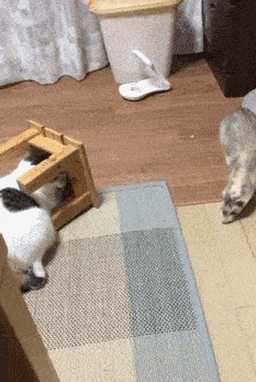 我问爸爸照片中站在他旁边的那位年轻叔叔是谁？他说那是你妈！休闲区蓝鸢梦想 - Www.slyday.coM