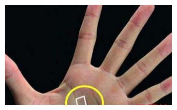 手相有"口字纹"的人,命中带财,注定一辈子大吉大利,富贵多金|手相