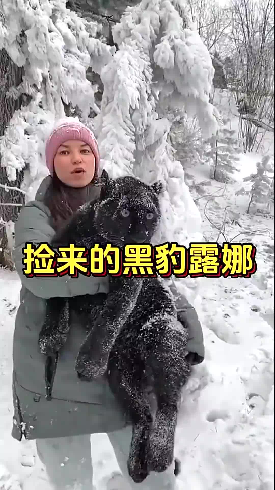 国外小姐姐在野外捡到一只被抛弃的黑豹，把它带回家抚养并给它取