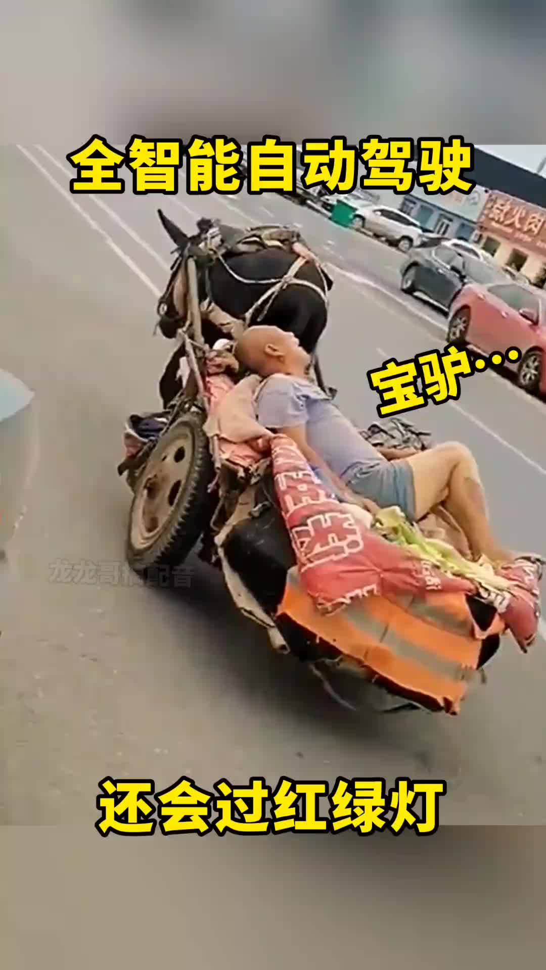 别人有宝马，大爷有宝驴