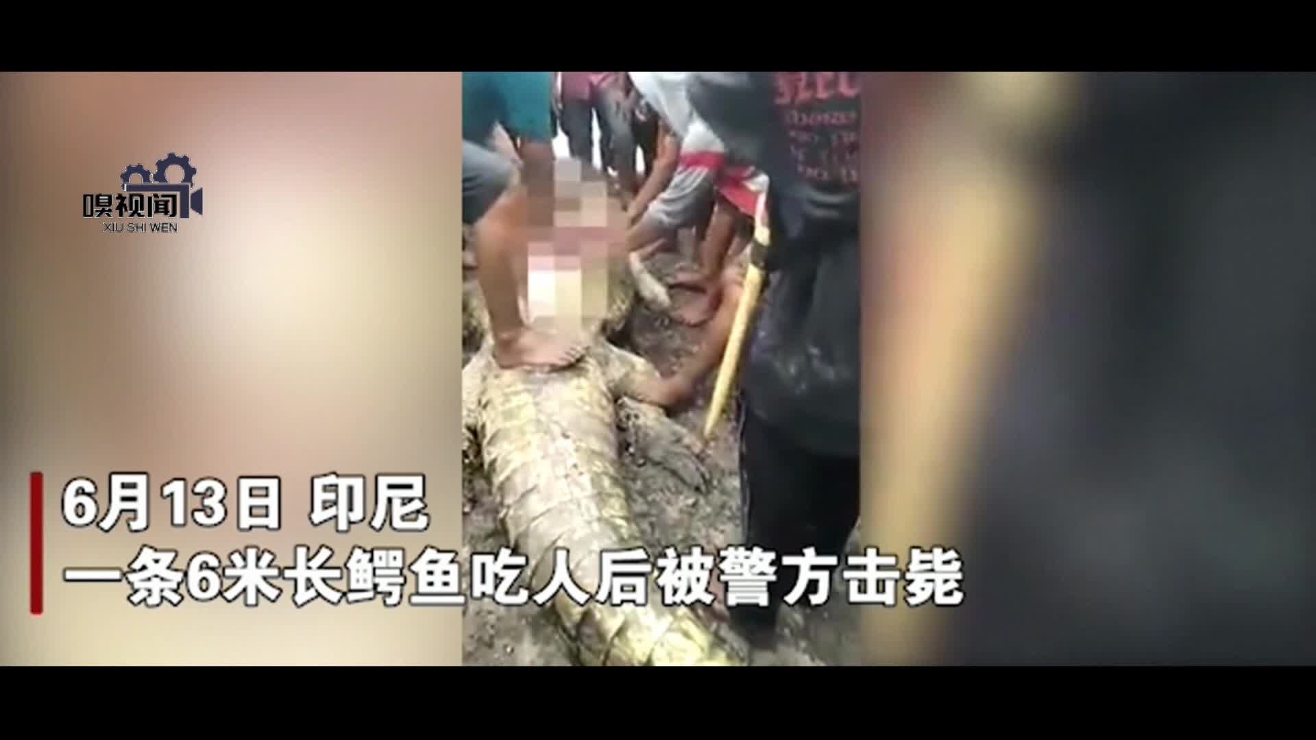 印尼一条6米长鳄鱼,吃人后被警方捕杀,在其腹中发现被害人四肢