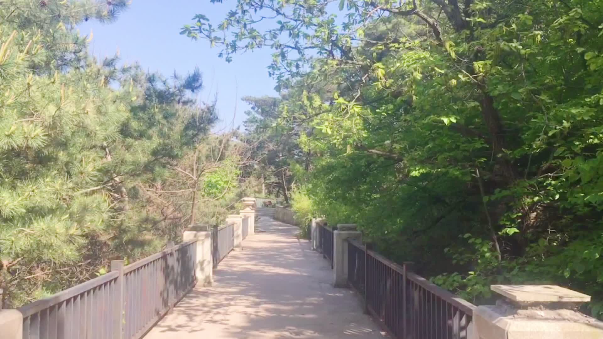 大连龙谷山森林公园