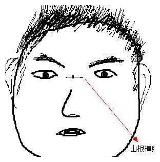 鼻子上长这些 纹印 对命运有什么影响 鼻梁 印堂 鼻子 新浪新闻