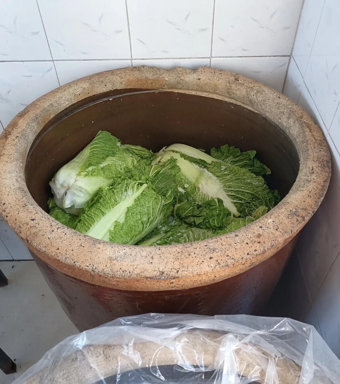尽量压实,一直码放到高出缸沿儿,上面压上一块大石头,缸里填满水,随着