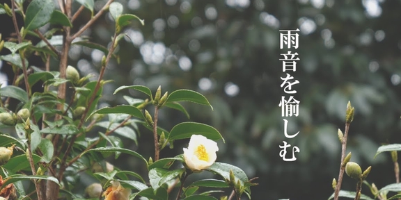 <a href=