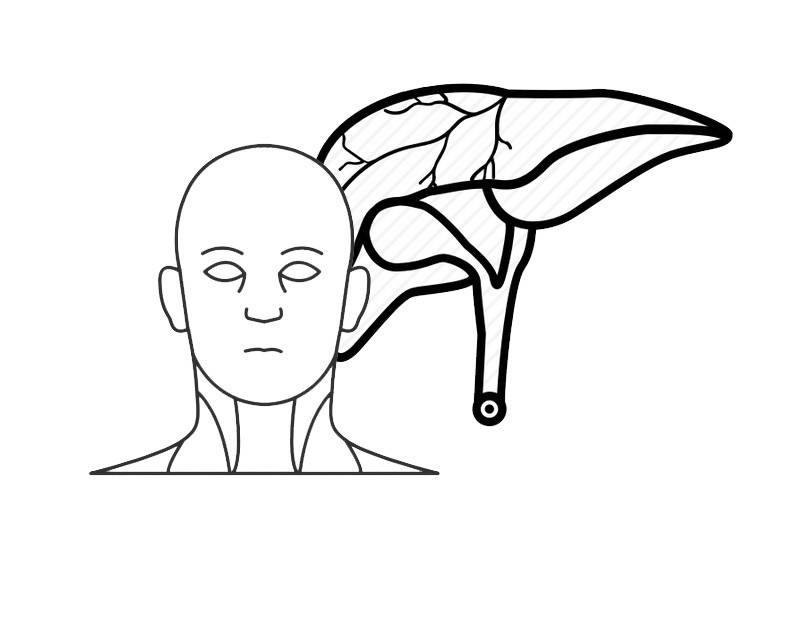 接吻会造成乙肝传播？医生：乙肝传播途径有3种，一文给您讲清休闲区蓝鸢梦想 - Www.slyday.coM