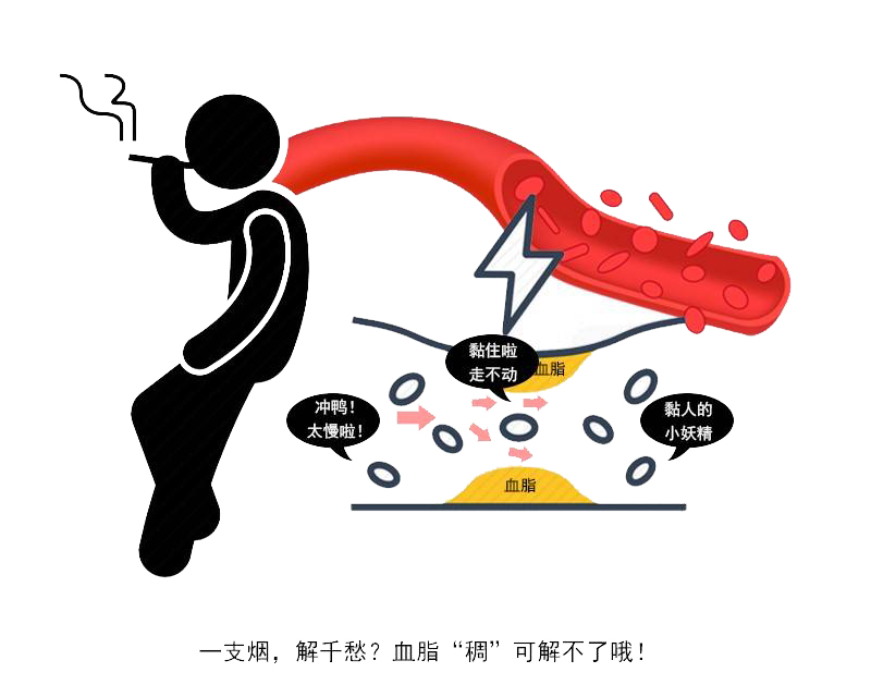 丈夫吸烟妻子也患癌？如何远离二手烟的伤害，最好的办法是这一种休闲区蓝鸢梦想 - Www.slyday.coM