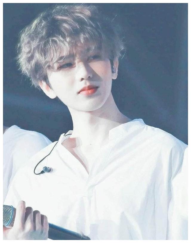 歌手大全歌手排行榜歌手_华语乐坛实力歌手排行榜,张学友排第三,第一是他