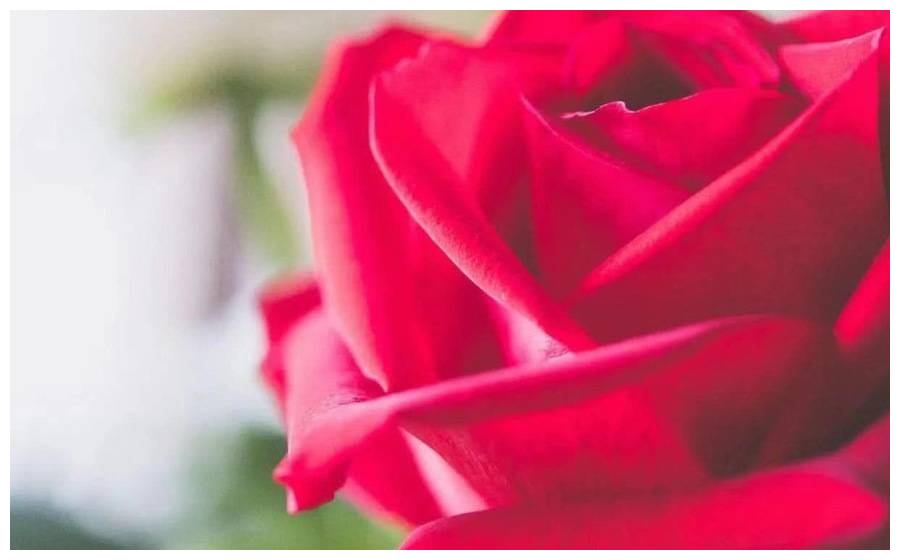 不轻易对别人说喜欢的星座,爱上对方,就会毫不犹豫追求休闲区蓝鸢梦想 - Www.slyday.coM 不轻易对别人说喜欢的星座,爱上对方,就会毫不犹豫追求休闲区蓝鸢梦想 - Www.slyday.coM