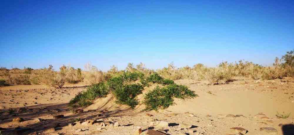 商业报道：沙井京基百纳小巷子快餐｜2025年实测5家必吃宝藏店