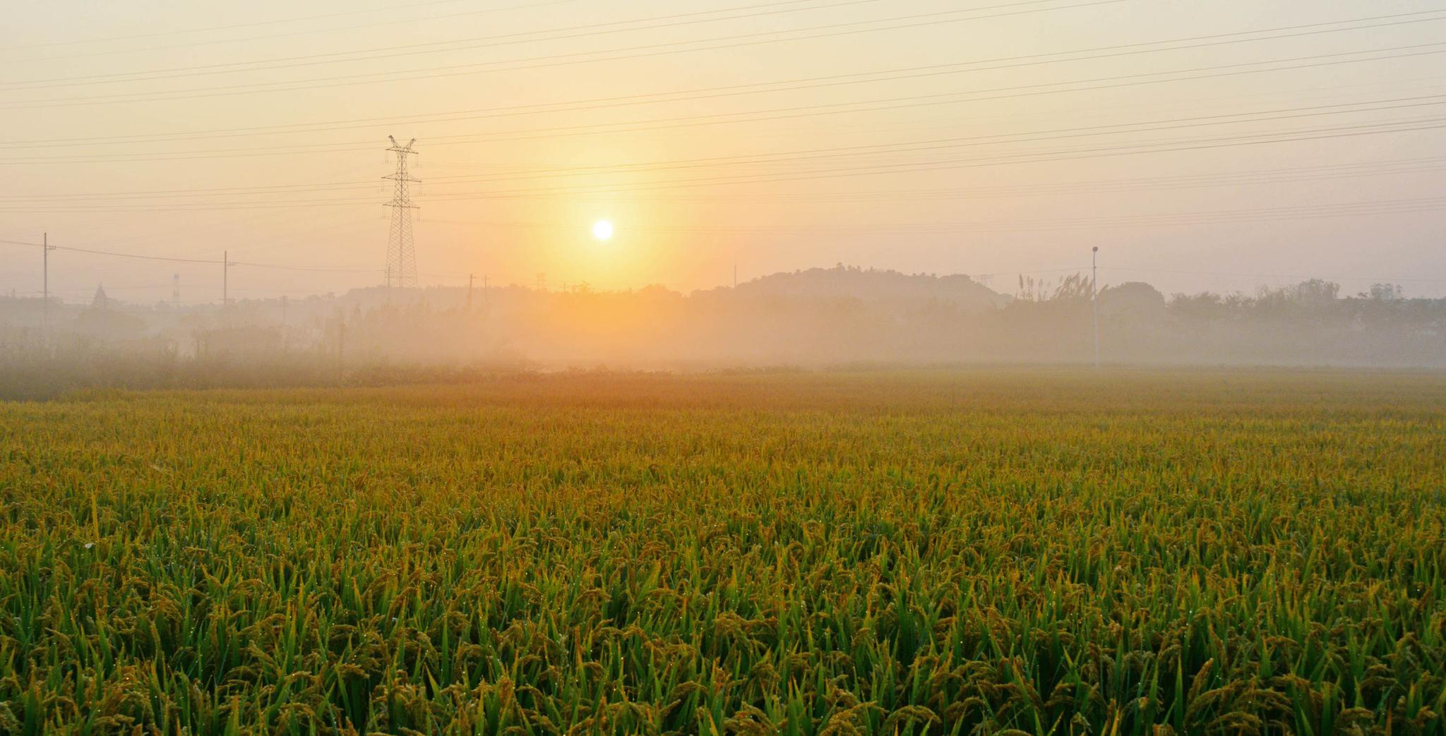 湖北的冬天荒凉吗现在