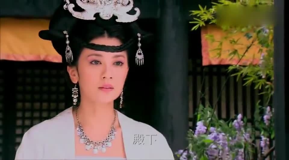 镇国公主容貌绝美更有势不可挡的霸气一声令下竟要强攻进城