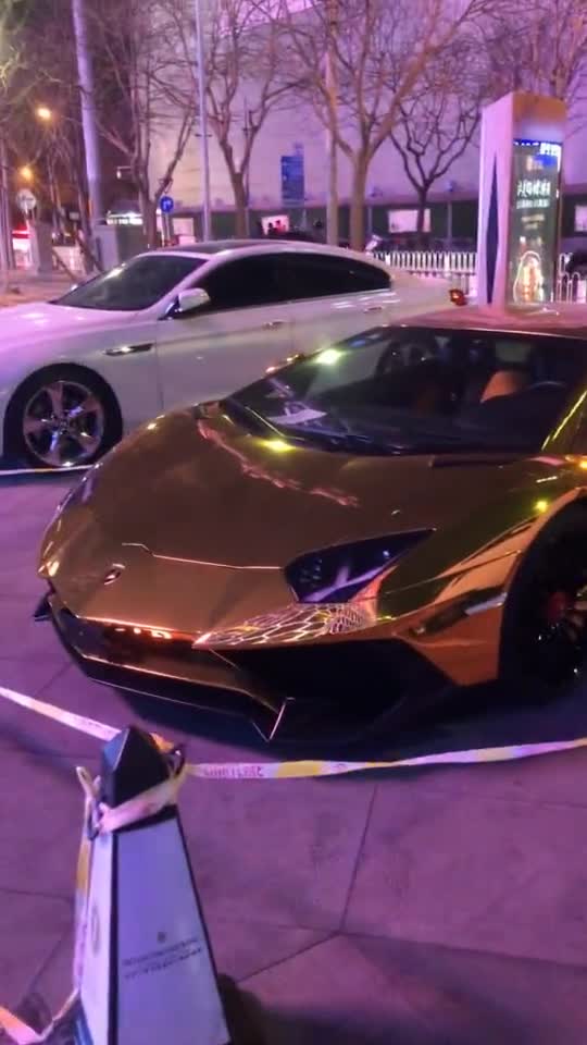 全球仅此一台黄金版兰博基尼_手机新浪网