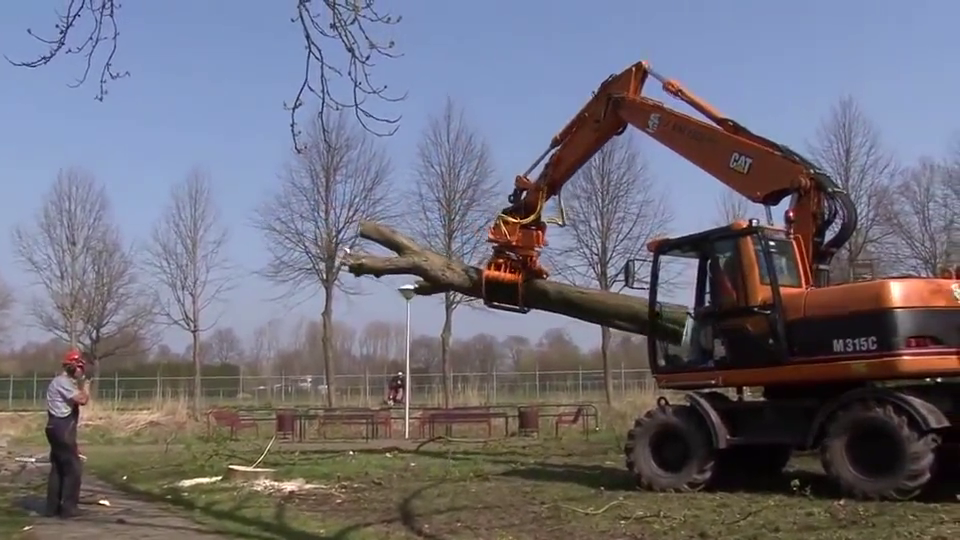 挖掘机换个挖斗秒变伐树神器以后伐树再也不用愁
