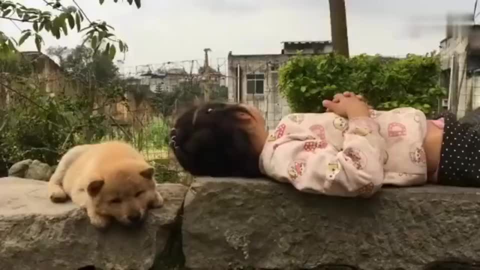 和风催人醉 女童石上睡 萌犬身相随 无忧最可贵 和风催人醉 女童石上睡 萌犬身相随 无忧最可贵