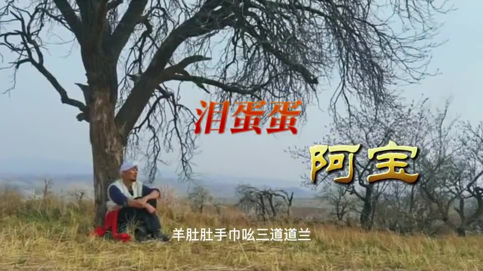 黄土情歌《泪蛋蛋》演唱:阿宝
