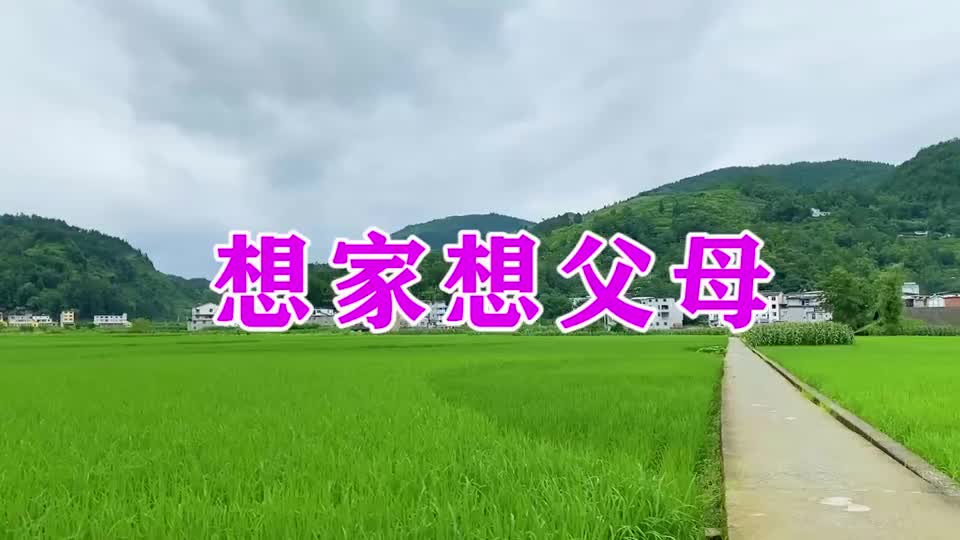 一首想家的歌《想家想父母》,听哭了多少在外漂泊的人!