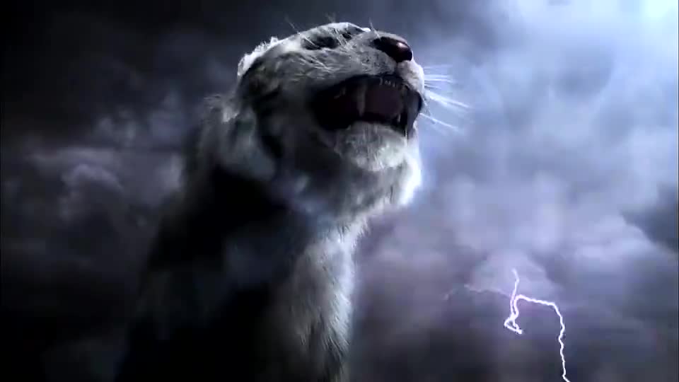 青龙白虎朱雀玄武四大神兽合力大战蚩尤场面太震撼了