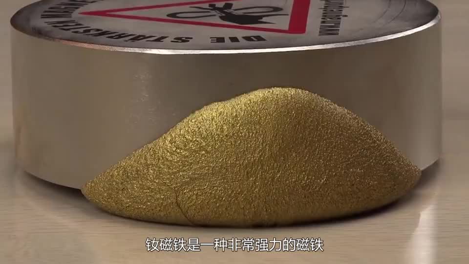 磁铁王钕磁铁能将老鼠浮起来老外亲自实验看完却让人惊讶