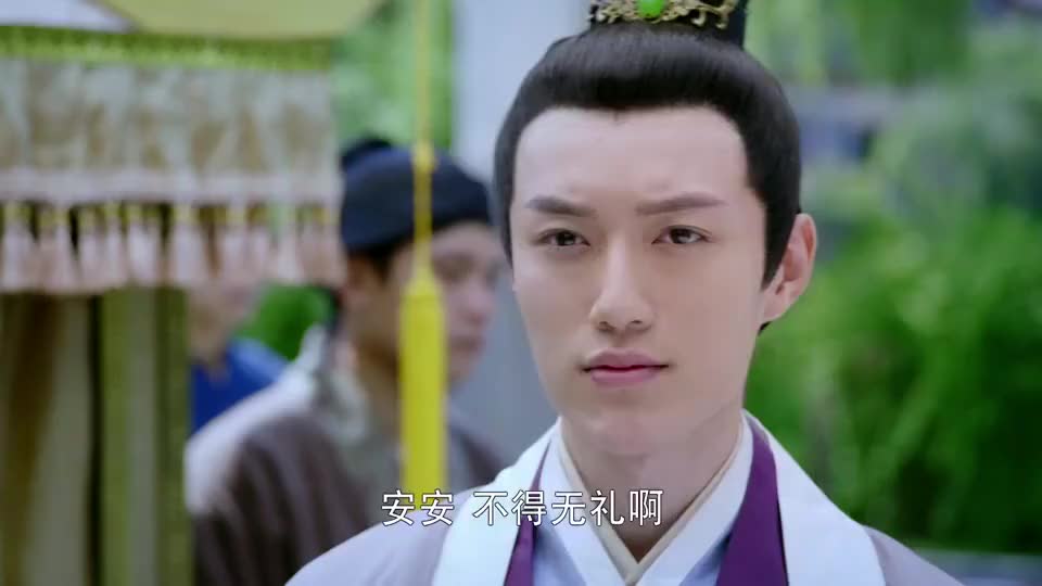 医馆笑传宁王知道董府的事为担心安安的安全想接到宁府