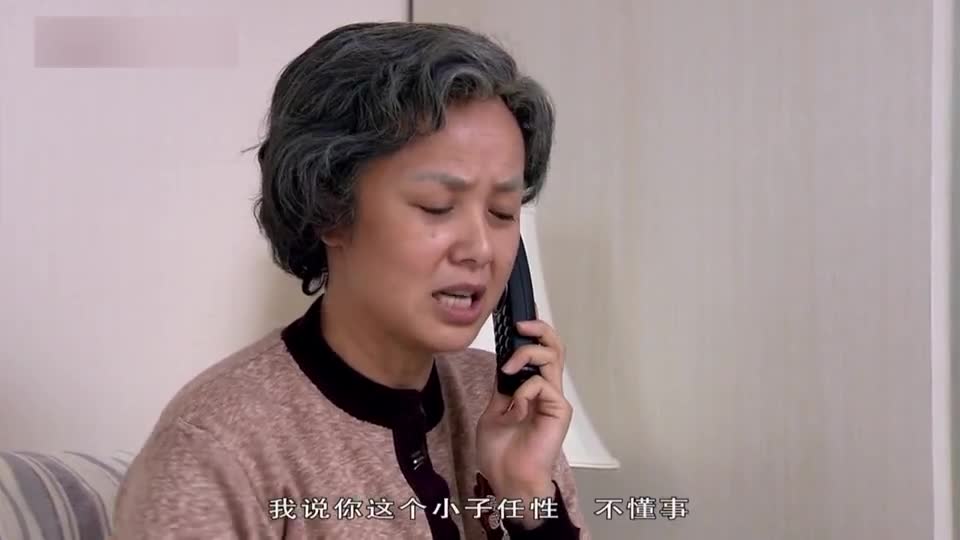 金婚大宝仇恨文丽和佟志让佟志心里不是滋味父亲的爱藏得深