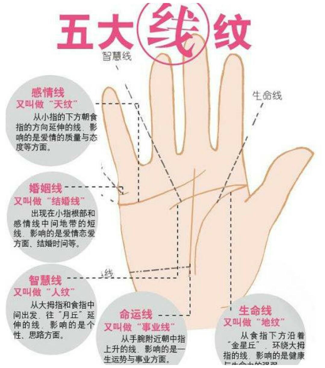 从断掌看性格事业感情
