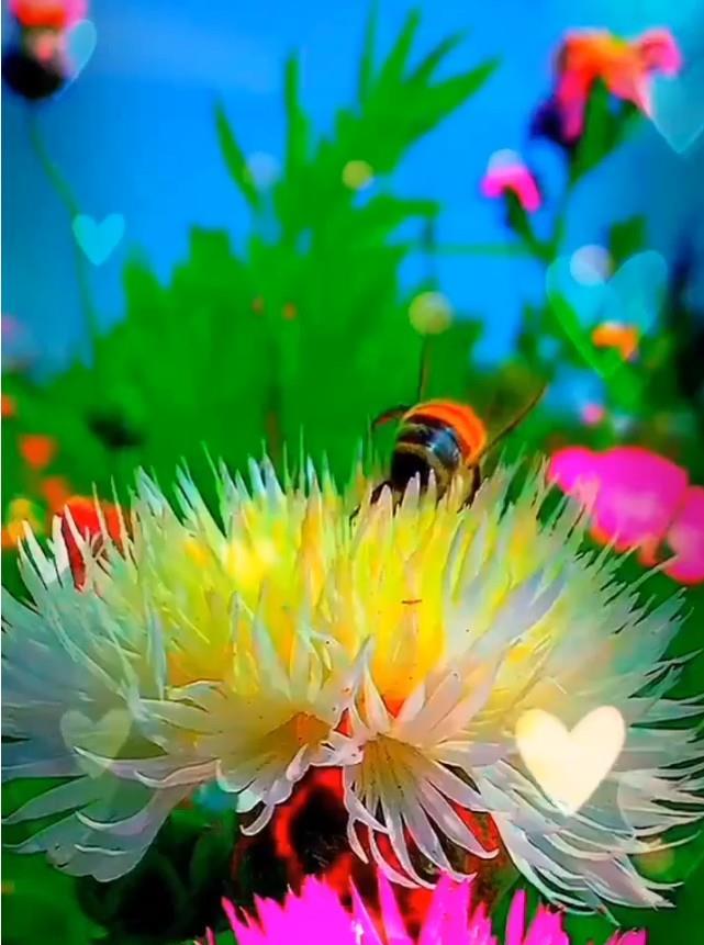 你，若过得好，无论我怎么想念你，我都会管住自己、不再去打扰你休闲区蓝鸢梦想 - Www.slyday.coM