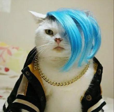 幽默笑话他为了追她走遍全国拜师学艺习得众多酸菜鱼做法