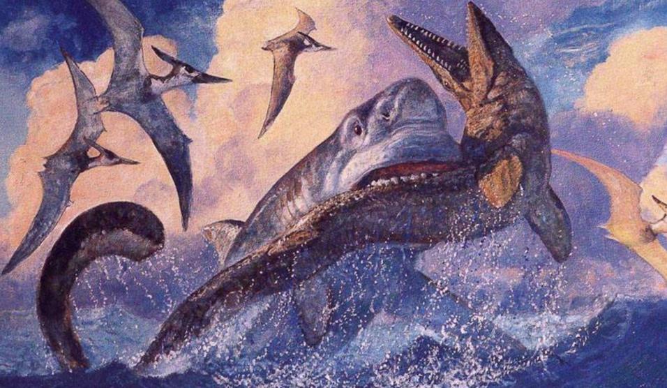 沧龙已灭绝,为何鲨鱼依然存活?生物学家给出3大原因