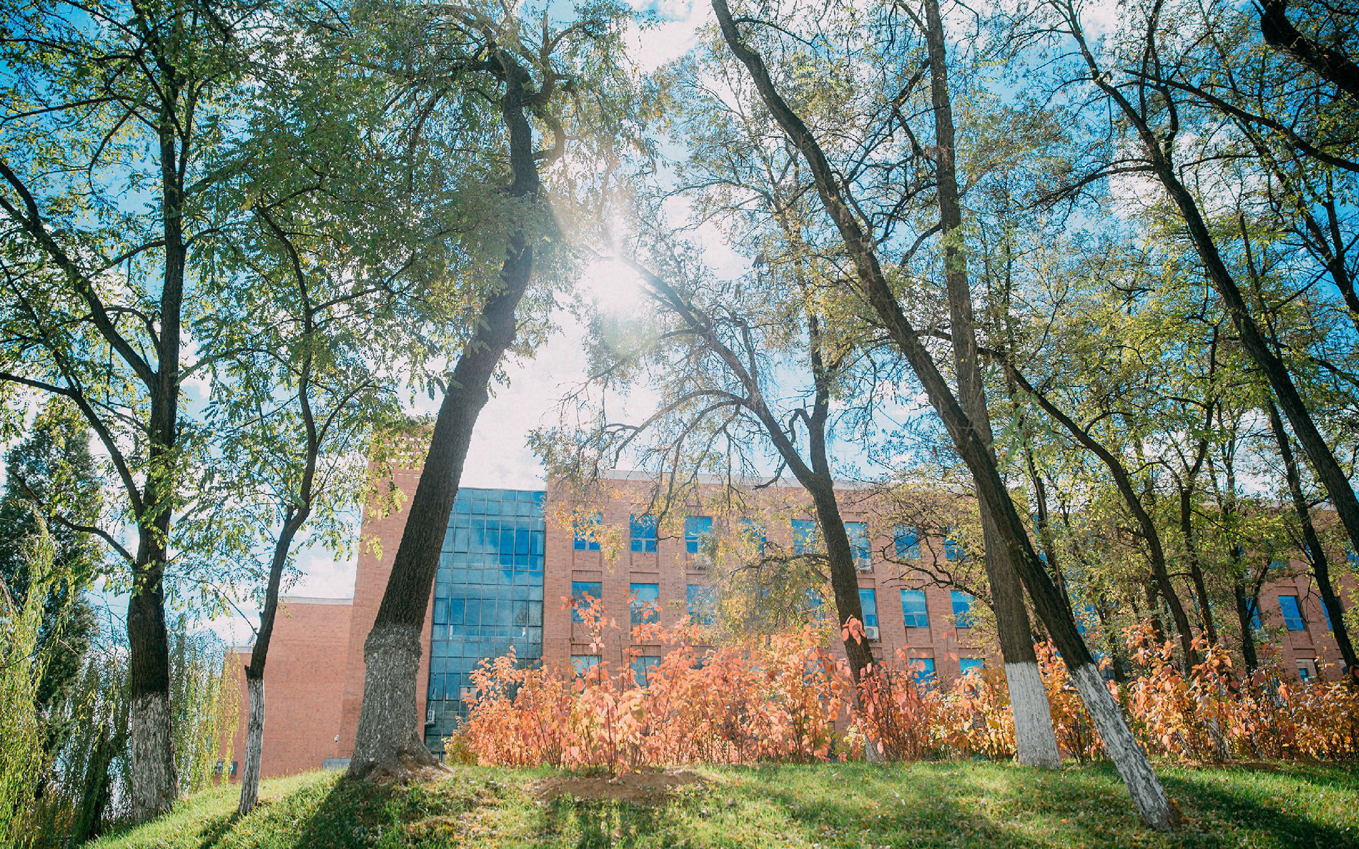 【生活篇】那年毕业季,我们都在做什么——网络赌博