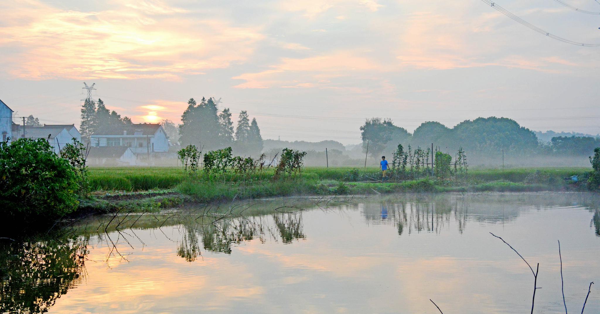 夏末初秋,乡野的清晨,江苏无锡斗山.