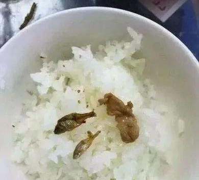 爆笑段子:午餐比较丰盛,吃的特别多