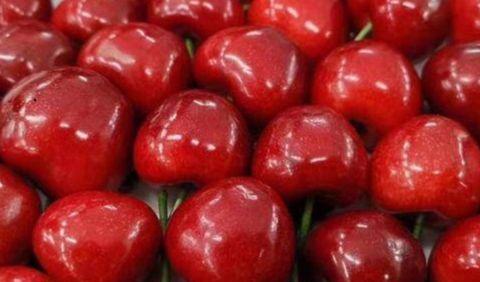 广州生殖试管私立医院（到底哪里产的车厘子苗最好呢？小波车厘子苗基地做出以下回答！）