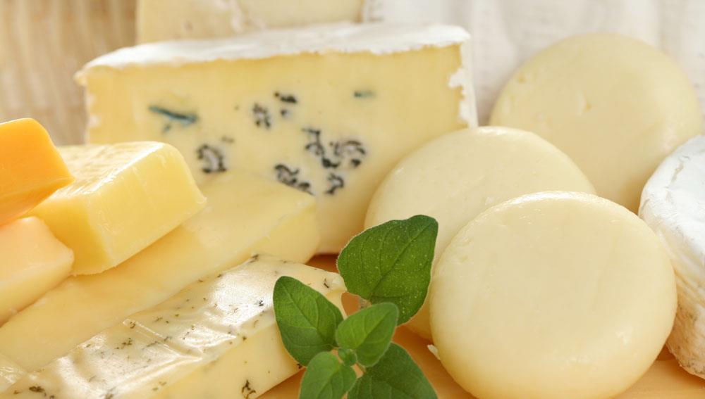 《谁动了我的奶酪》名言启示 你如何应对生活中的变化