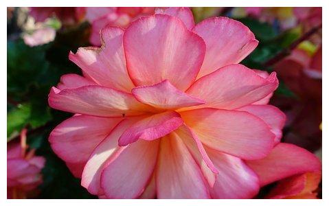 2天后 红尘有你 断了情 难舍旧情 情缘再续 余生永不弃