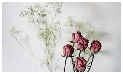 生肖龙：这几个月出生的生命最好，前途不可估量，富贵一生！休闲区蓝鸢梦想 - Www.slyday.coM