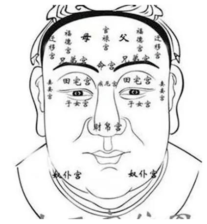 看名在眉,看贵在眼,看福在耳,看禄在嘴|眉毛|额头|面相学_新浪新闻