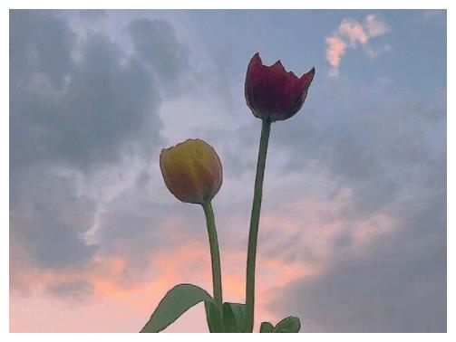 第2.12休闲区蓝鸢梦想 - Www.slyday.coM