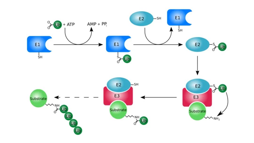 比亚迪e3纯电动车价格