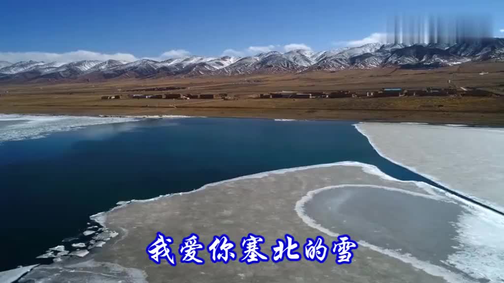 我爱你塞北的雪演唱殷秀梅