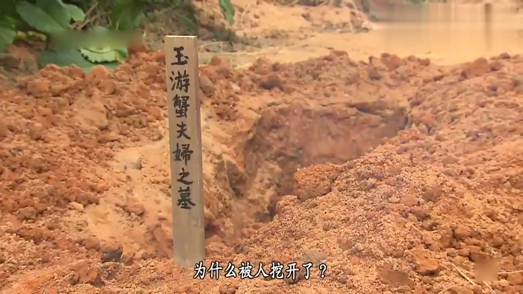 男子刨坟掘墓就是为了这个,结局亮了